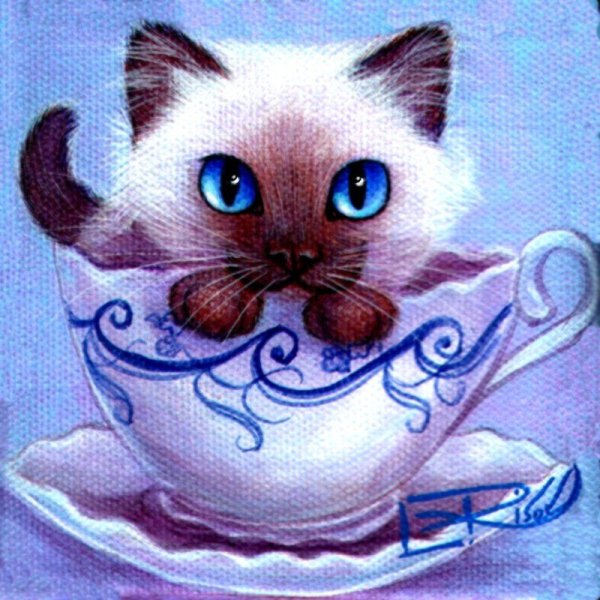 Кошки в чашках вышивка