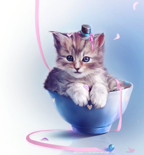 Милые котята в чашке