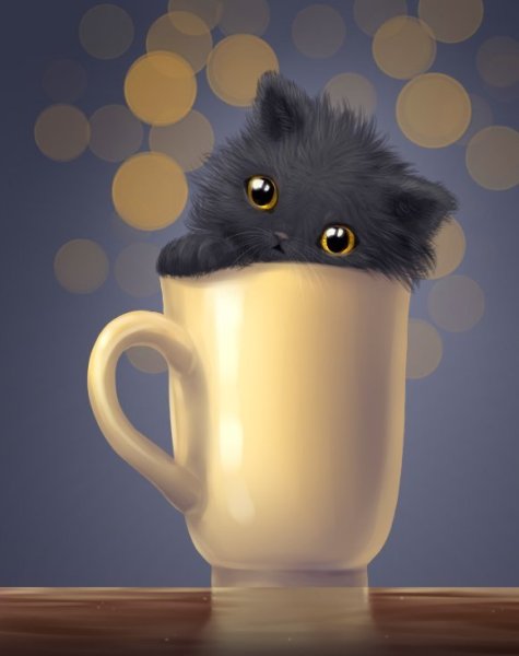 Кот в чашке