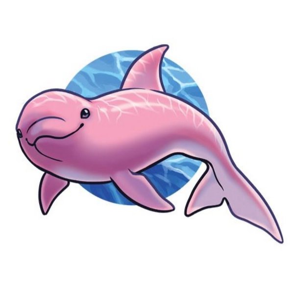 Милые розовые дельфиньчики