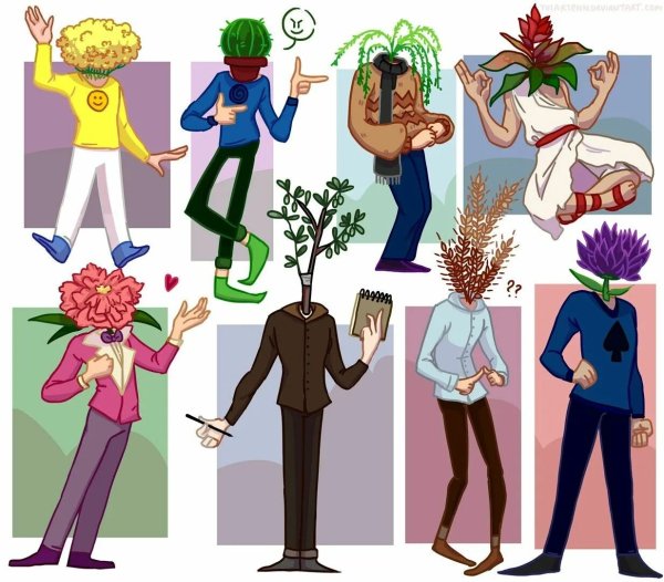 13 Карт Джокер и рекарде