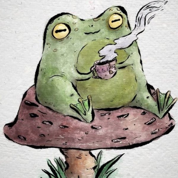 Лягушка на мухоморе