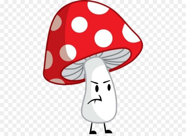 Шишкин мухоморы картина