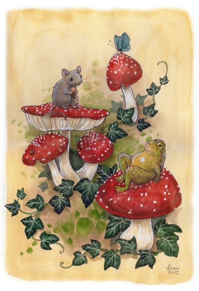 Лягушка ведьмочка