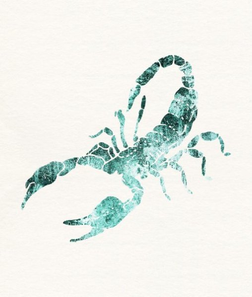 Акварельный Скорпион