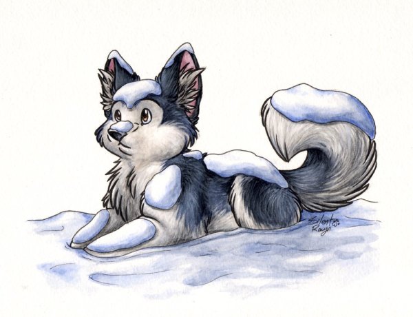 Волчонок рисунок