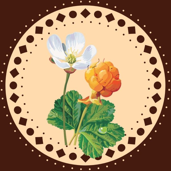 Морошка ягода акварель