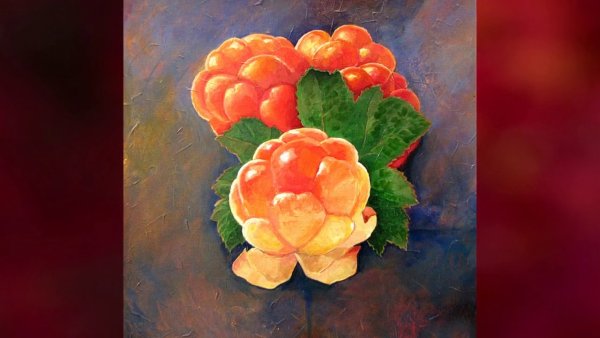 Морошка Графика