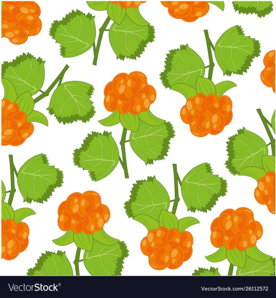 Ягоды иллюстрация