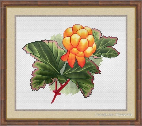 Морошка рисунок