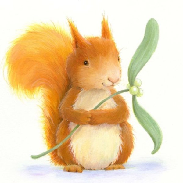 Белочка рисунок