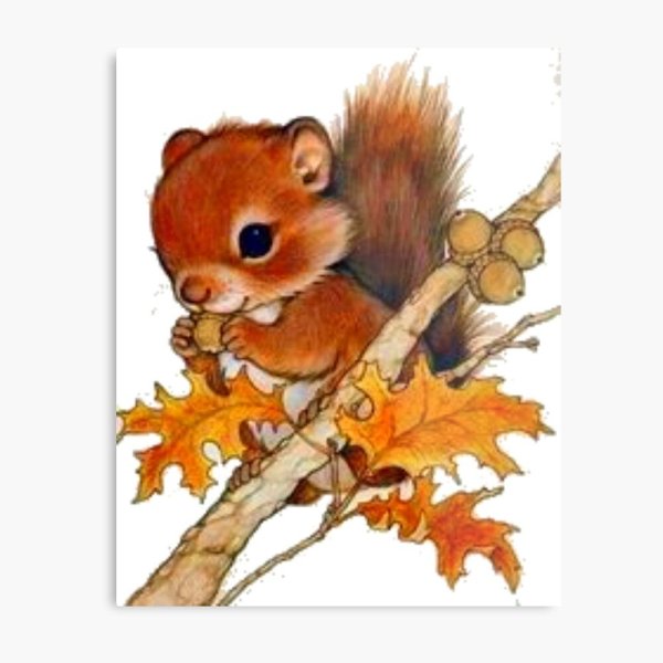 Белочка картинка для детей