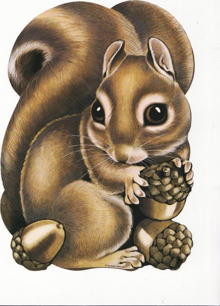 Бурундук стилизация