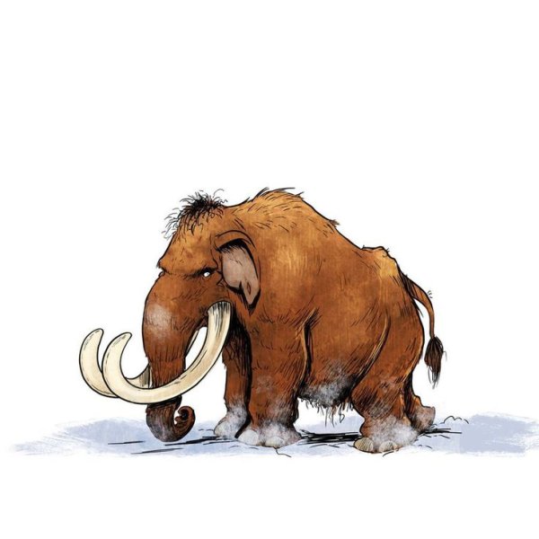 Мамонт рисунок