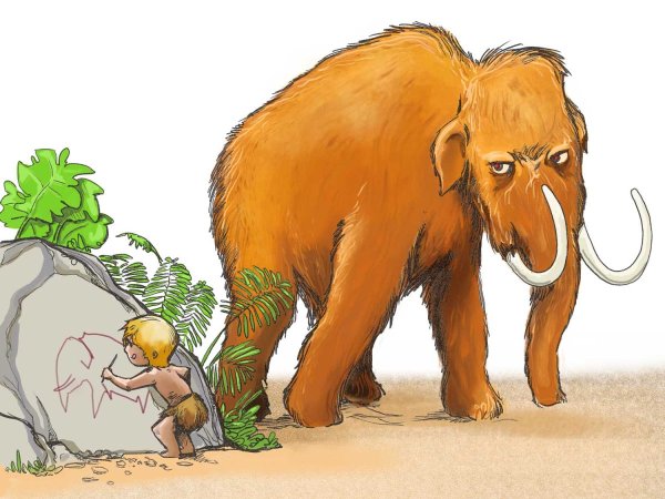 Мамонт в профиль