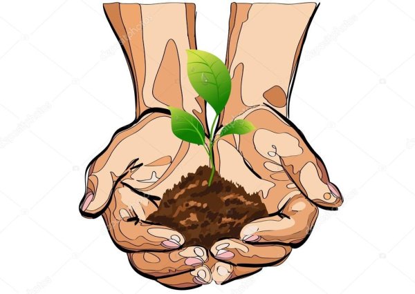 На чужой сторонушке рад своей воронушке пословица