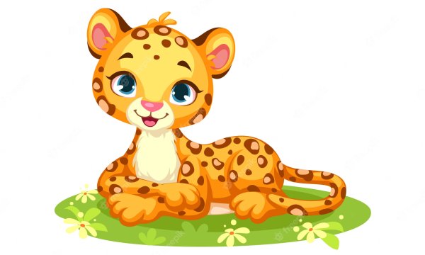 Леопард картинки для детей нарисованные
