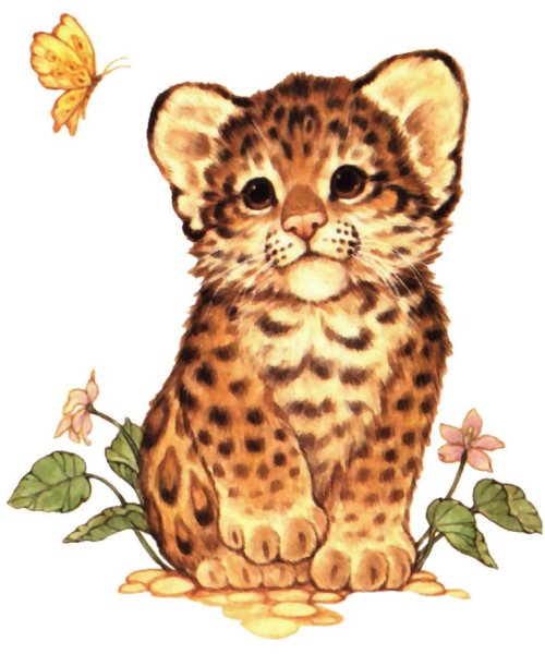 Леопард для детей