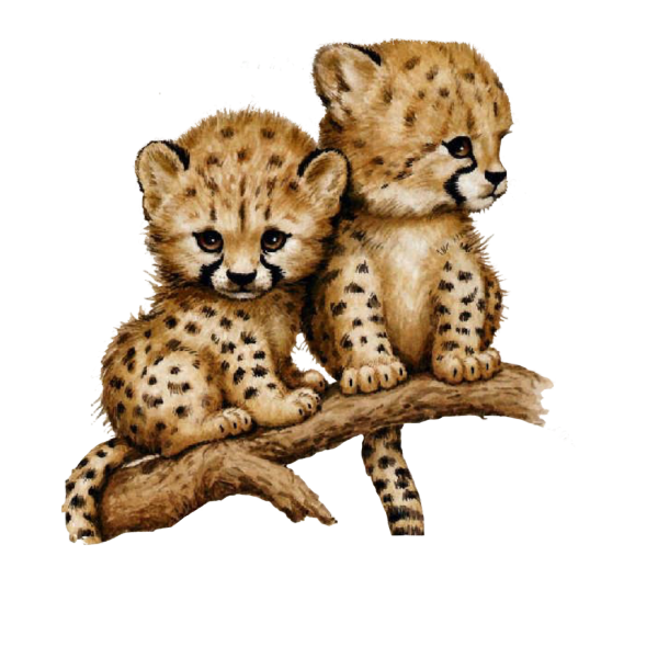 Детеныши животных