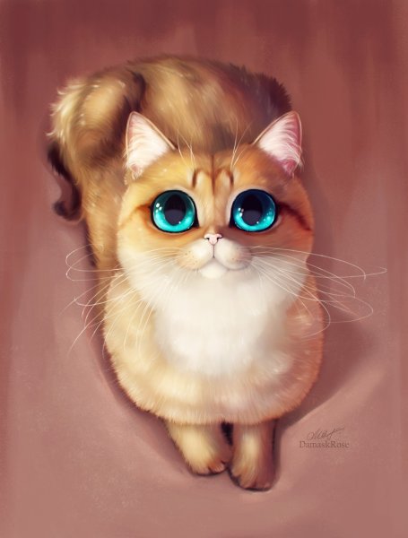 Красивые мультяшные котики