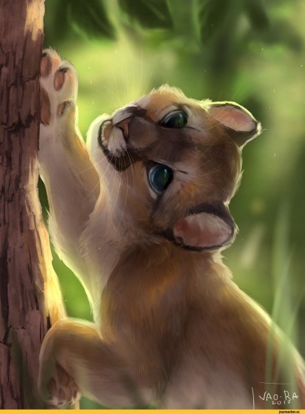 Пума мультяшка