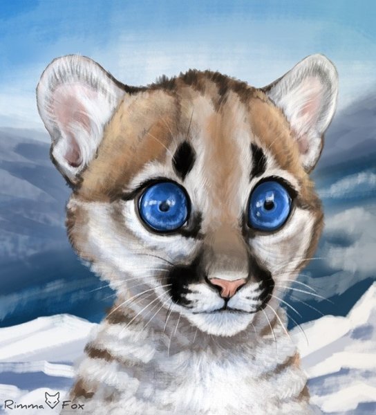 Пума с голубыми глазами рисунок