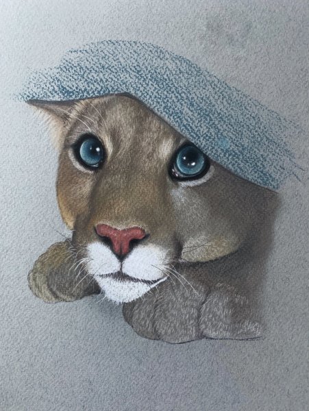 Пума пастелью