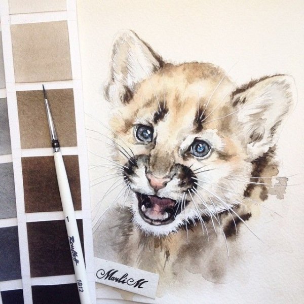 Пума рисунок акварелью