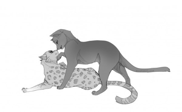 Милый рисунок Пумы