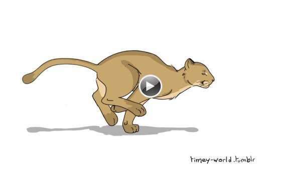 Гифы с пумами