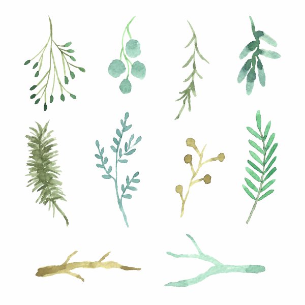 Акварельные веточки