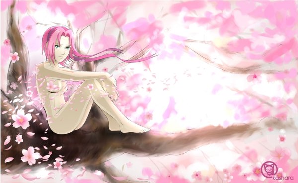 Сакура Харуно для срисовки