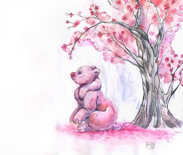 Сакура Наруто