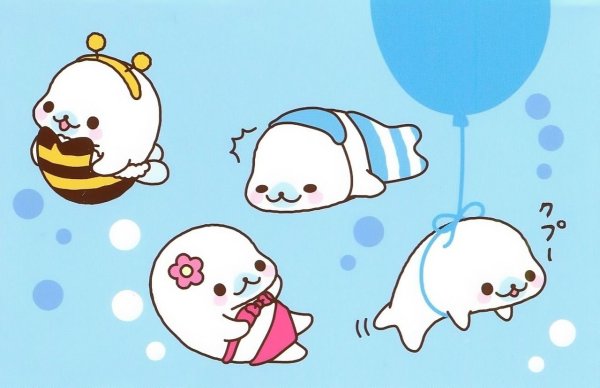 Морские котики Каваи