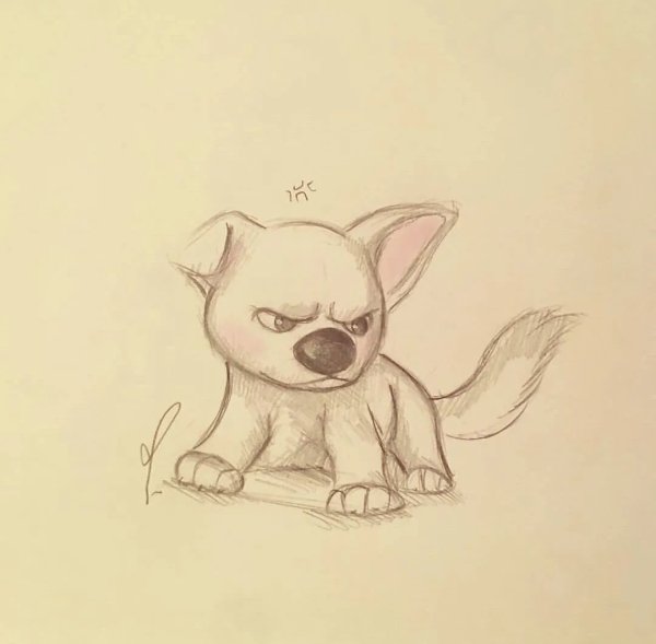 Картинки для срисовки животные