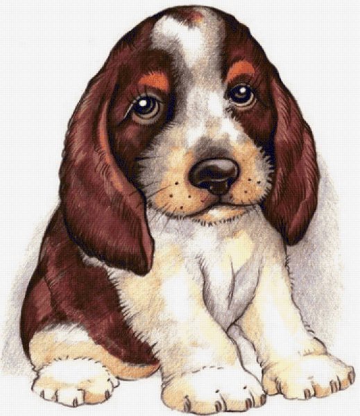 Иллюстрированная собака