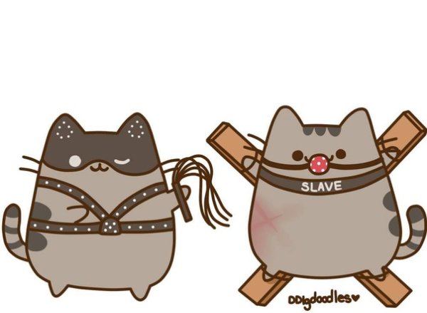 Милые котики в наушниках