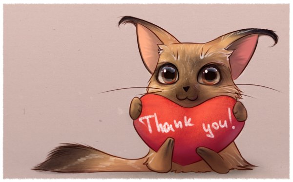 Котик спасибо