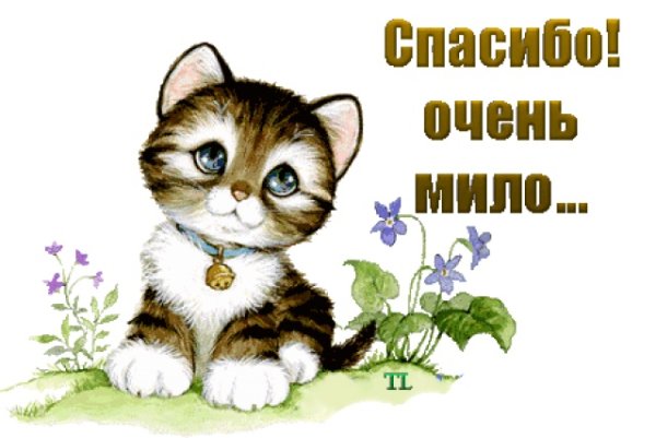 Спасибо очень мило
