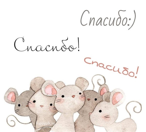 Стильная открытка спасибо