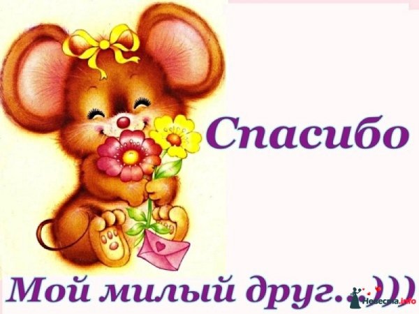 Мультяшный кот с цветами