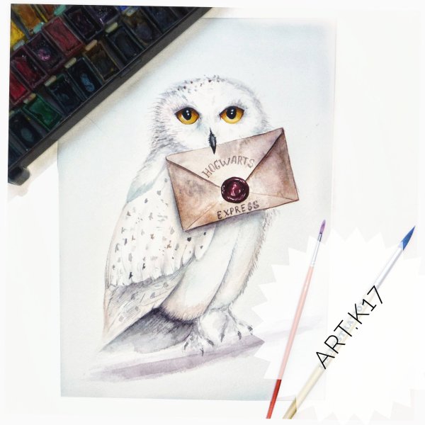 Сова Гарри Поттера Хедвиг или Букля