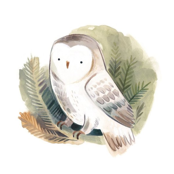 Сова сипуха акрил