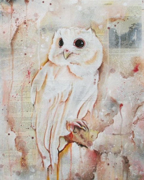 Сова Букля раскраска