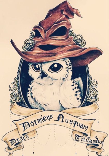 Гарри Поттер Сова на книгах