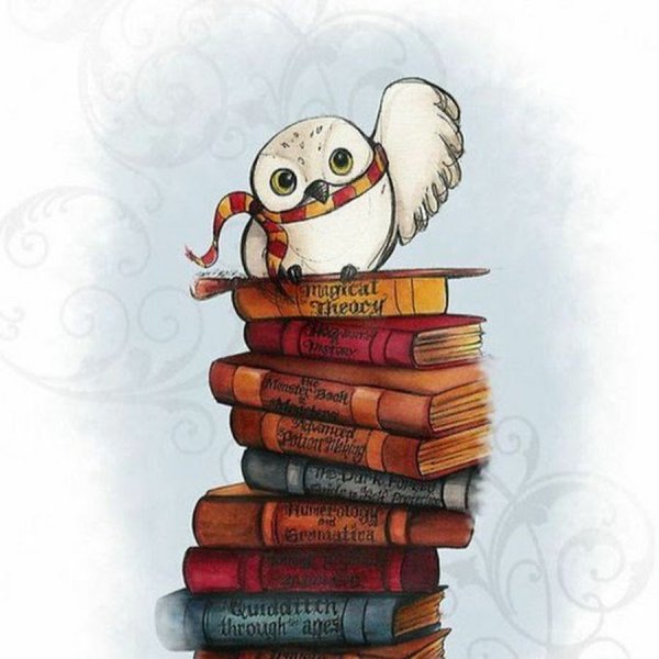 Сова с книгой