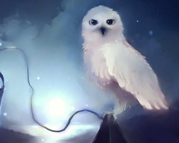 Птица Гарри Поттера Букля