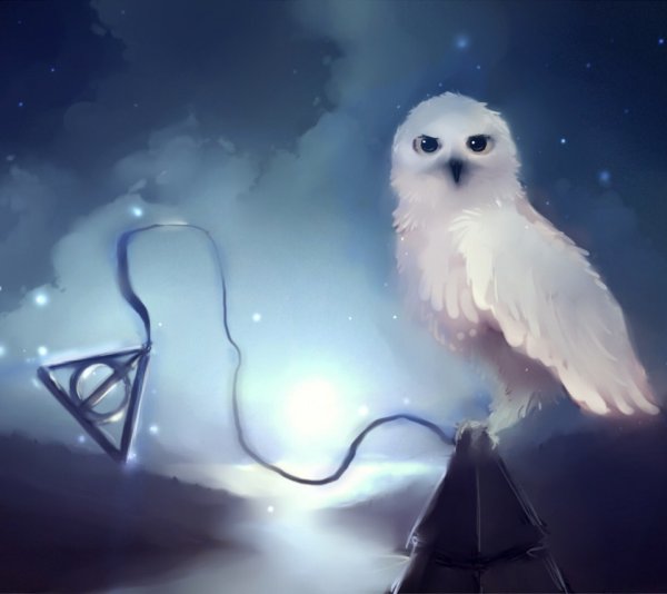 Гарри Поттер Букля арт