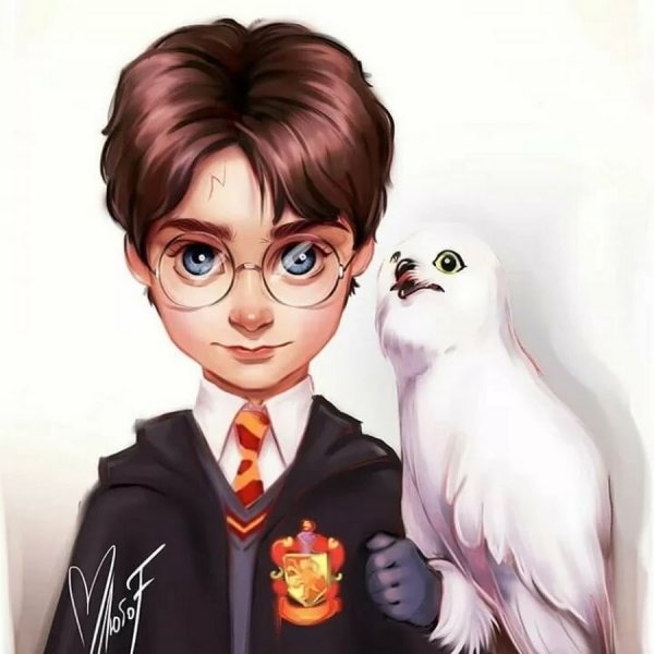 Сова Букля из Гарри Поттера рисунок