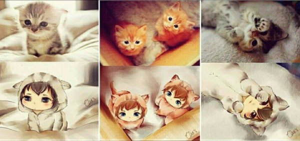 Милый котик в аниме стиле